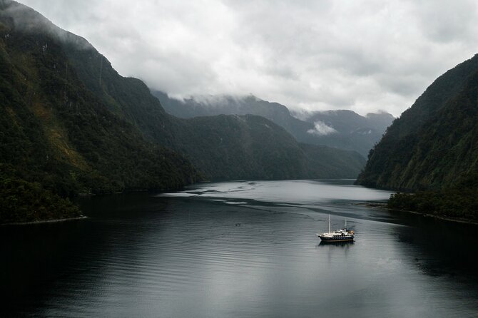 Doubtful Sound Overnight Cruise - Cruising the fiord with time to look up