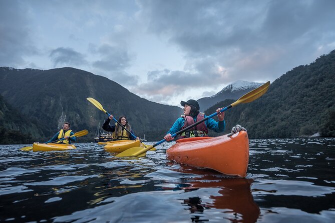 Doubtful Sound Overnight Cruise - Kayaking and swimming: useful expectations