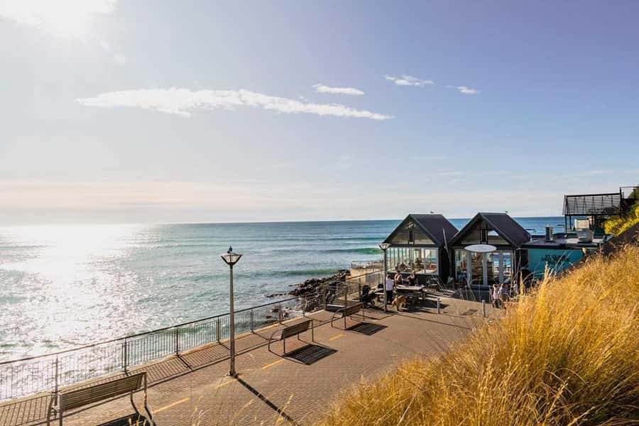 Dunedin: 3 Hour Artisan Food Walking Tour - Fish and chips with a Dunedin story