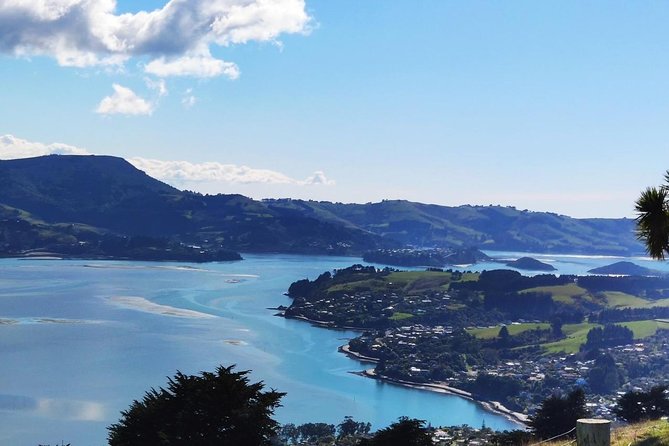 Dunedin City and Coastal Views 3-Hour Small-Group Guided Tour - University of Otago is a brief but useful stop