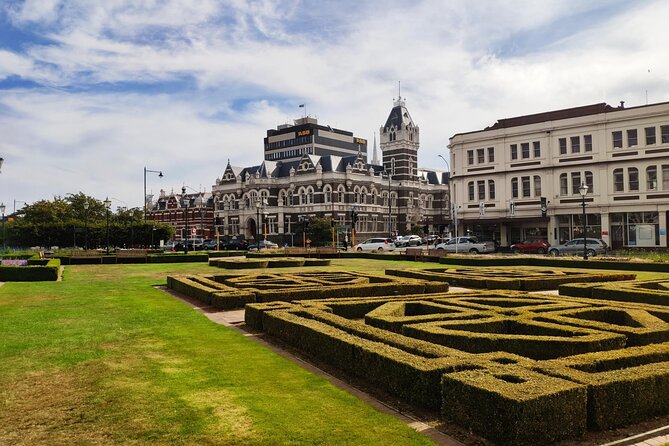 Dunedin City and Coastal Views 3-Hour Small-Group Guided Tour - The Otago Peninsula adds the scenic payoff