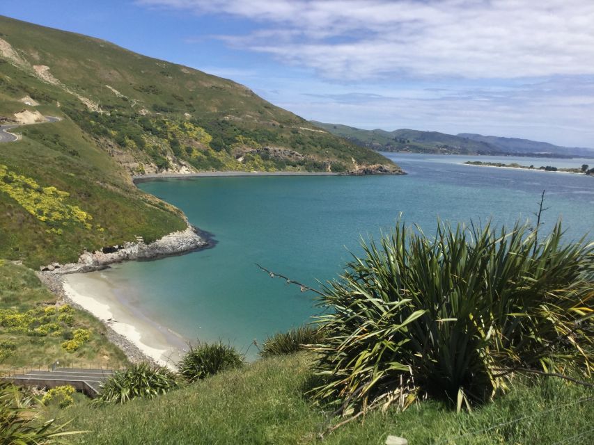 Dunedin: City Highlights and Otago Peninsula Scenery - Meeting your guide at Port Chalmers or The Octagon
