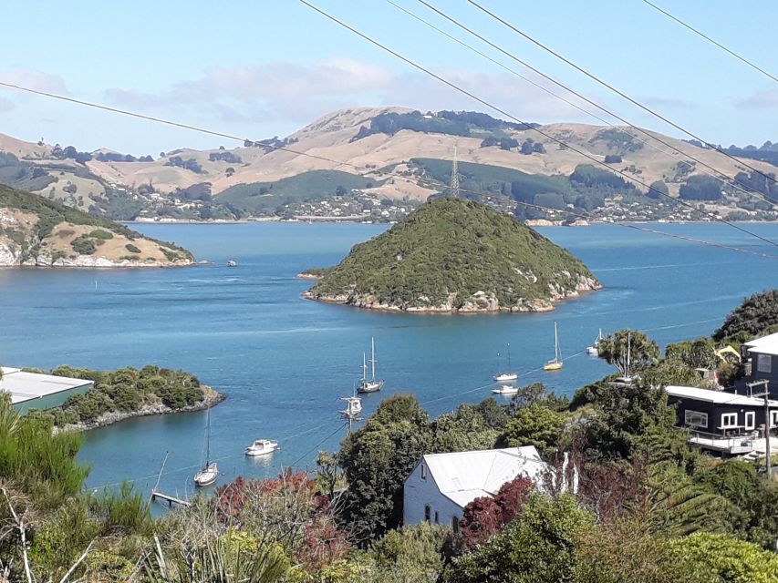 Dunedin: City Highlights and Otago Peninsula Scenery - What the price includes, and what it leaves out