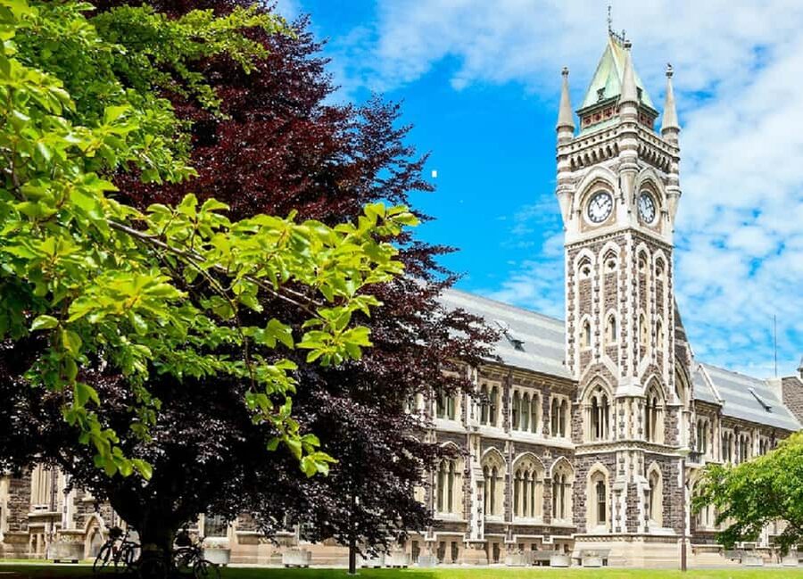 Dunedin City Highlights & Larnach Castle Tour - What the local guide adds