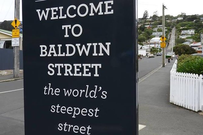 Dunedin City Highlights, Otago Peninsula Scenery & Albatross Guided Tour - Baldwin Street, Dunedin’s quick steep-street stop