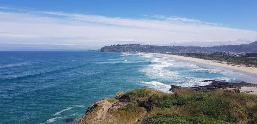 Dunedin City & Otago Peninsula Scenery Day Tour - Meet parrots at the Botanic Garden aviary