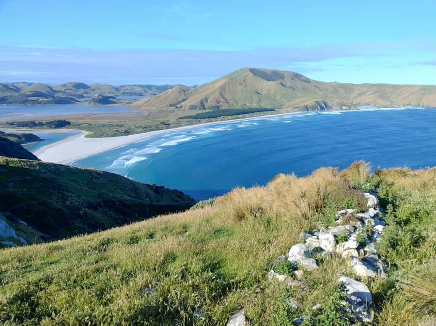 Dunedin City & Otago Peninsula Scenery Day Tour - Step inside Dunedin Railway Station