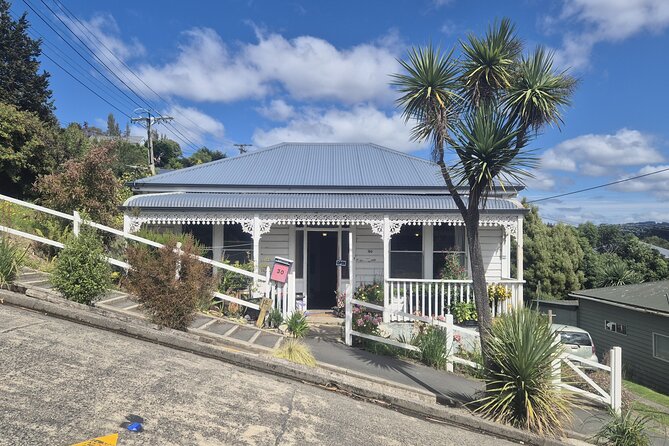 Dunedin City - Settlers & Voyages Tour - Māori navigation and the human story of Aotearoa
