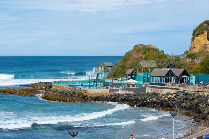 Dunedin City - Settlers & Voyages Tour - Otago Peninsula viewpoints from the mini bus