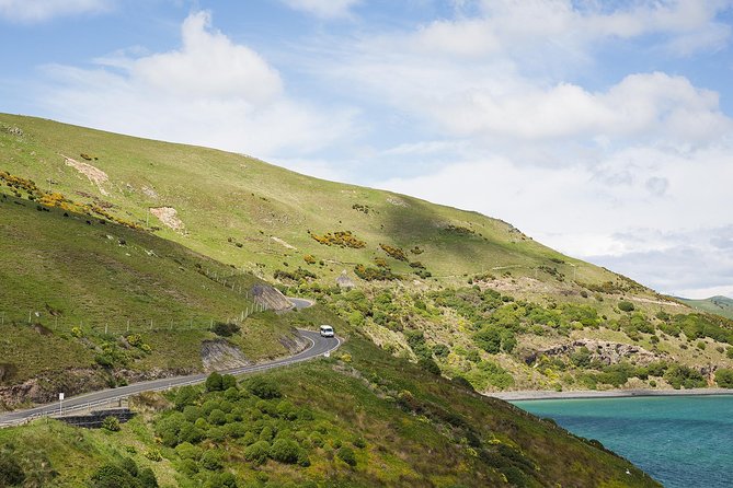 Dunedin City to Sea Wildlife Cruise + Peninsula Bus Tour - Warm clothing, binoculars, and boat comfort