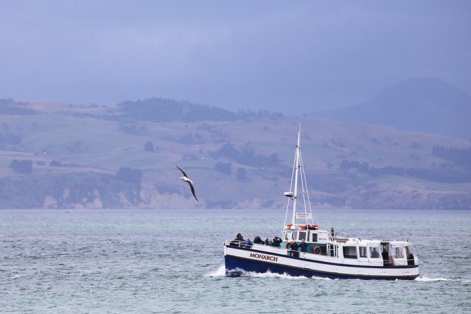 Dunedin City to Sea Wildlife Cruise + Peninsula Bus Tour - Cruising Otago Harbour before the open coast