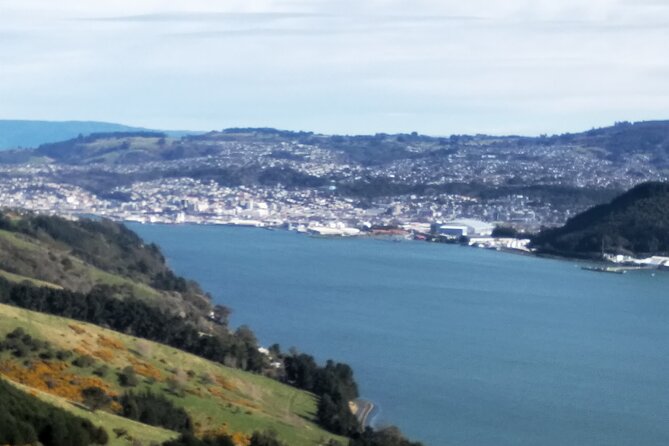 Dunedin City, Wildlife and Larnach Castle - Dunedin Railway Station deserves your camera