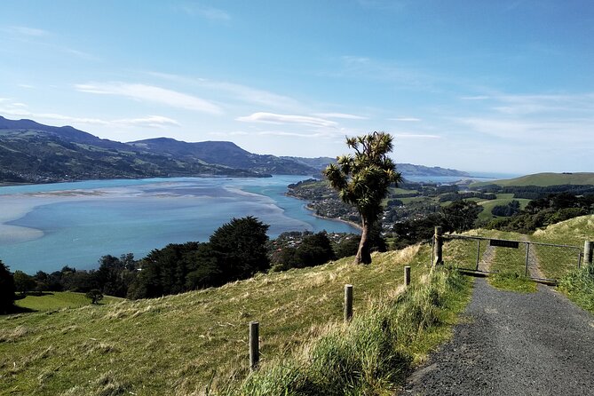 Dunedin City, Wildlife and Larnach Castle - Larnach Castle and gardens: the day’s central attraction