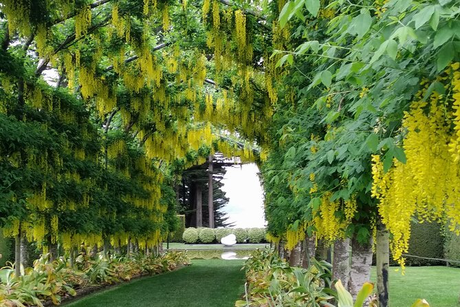 Dunedin City, Wildlife and Larnach Castle - Hoopers Inlet and Allans Beach wildlife stops