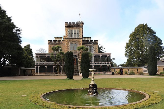 Dunedin City, Wildlife and Larnach Castle - The small vehicle changes the pace