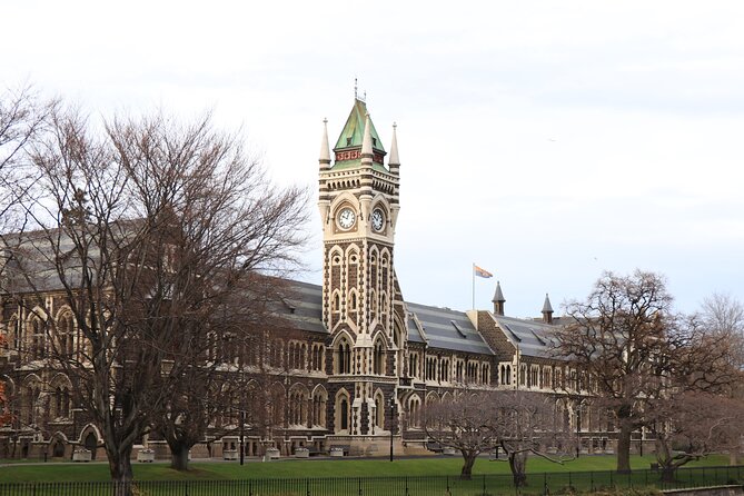 Dunedin City, Wildlife and Larnach Castle - Baldwin Street and Dunedin’s city sights