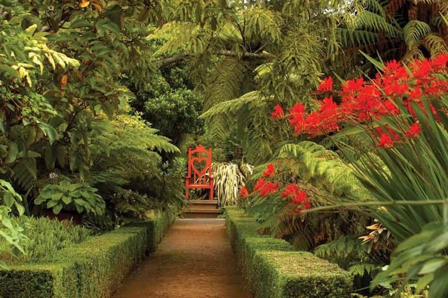 Dunedin: Larnach Castle & Gardens Admission Ticket - The Turret and 360-Degree Otago Peninsula Views