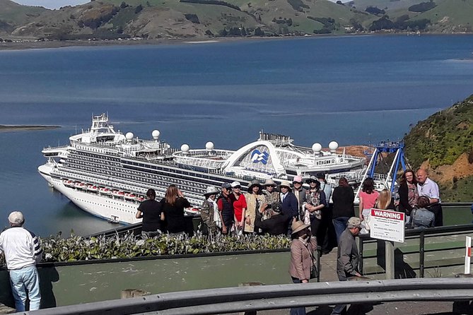 Dunedin Nature & City Tour – Full Day Cruise Excursion - Key points before you book