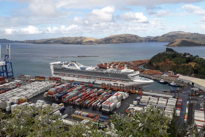 Dunedin Nature & City Tour – Full Day Cruise Excursion - The Octagon gives you Dunedin’s center