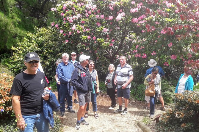 Dunedin Nature & City Tour – Full Day Cruise Excursion - Dunedin Botanic Garden changes with the weather