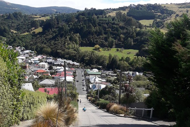 Dunedin Nature & City Tour – Full Day Cruise Excursion - Baldwin Street is the tour’s playful challenge