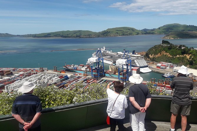 Dunedin Nature & City Tour – Full Day Cruise Excursion - Mount Cargill brings the best high views