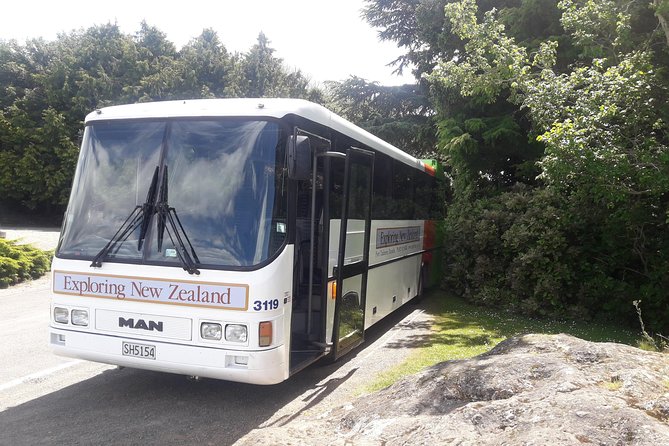 Dunedin Nature & City Tour – Full Day Cruise Excursion - Port Chalmers and the road into Dunedin
