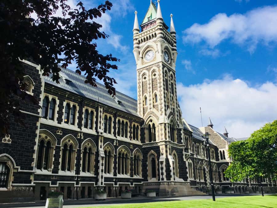 Dunedin: Otago Peninsula with Guided Penguin Reserve Tour - Guide quality and group feel