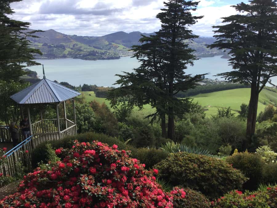 Dunedin: Peninsula with Lanarch Castle gardens & Olveston - Key points to know before booking