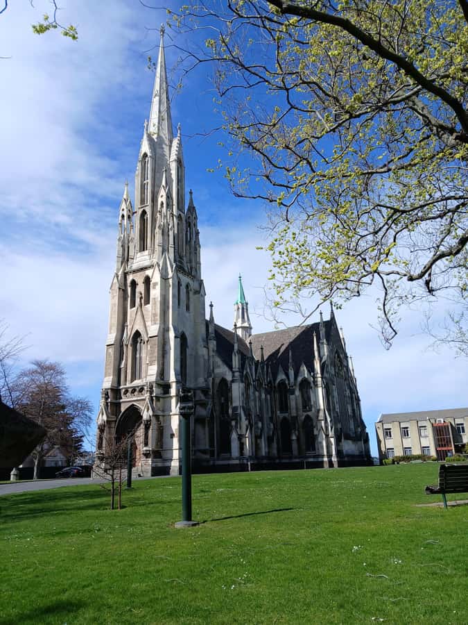 Dunedin: Peninsula with Lanarch Castle gardens & Olveston - How rushed is the six-hour schedule?