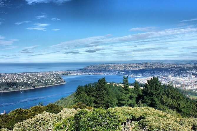 Dunedin Private Fullday Tour - Lunch on George Street