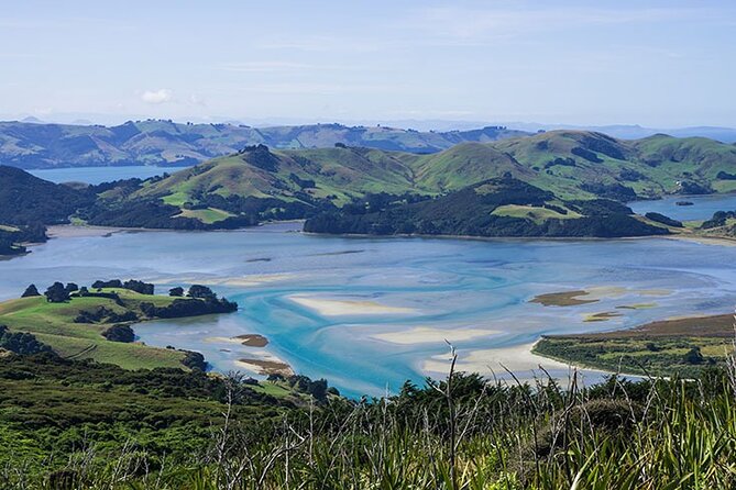 Dunedin Shore Excursion City Sightseeing & Tour of Larnach Castle - Guide quality can shape the whole day