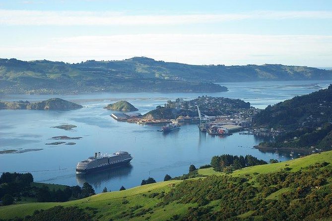 Dunedin Shore Excursion - Sightseeing, Larnach Castle, Chinese Garden & Museum - The Dunedin Chinese Garden in one hour