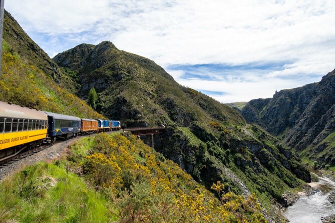 Dunedin to Queenstown One Way Tour Including Taieri Gorge Train - A train ride that makes the transfer worthwhile