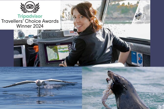 Dunedin Wildlife Cruise-Albatross, seals and harbour - Why this small boat works so well