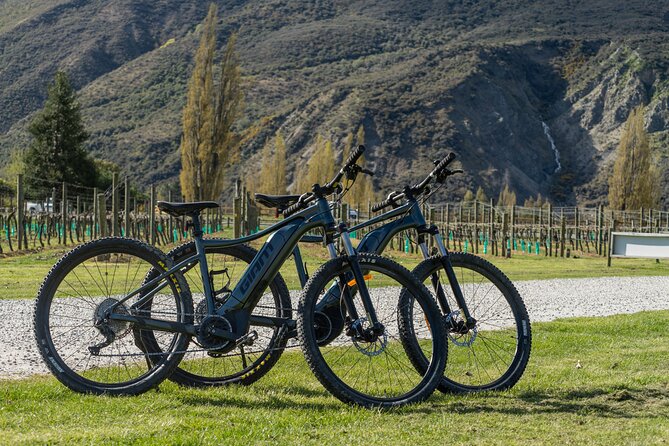 E-Bike Adventures Through the Wineries in Gibbston - A 10:00 am start and a useful pickup service