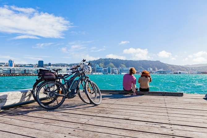 Easy Rider Two-Hour Wellington eBike Tour - The Zephyrometer in Evans Bay