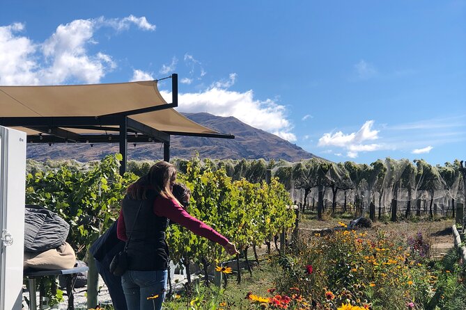 ebike tour lake Dunstan wine tasting - Carrick Winery and the Bannockburn wine stops