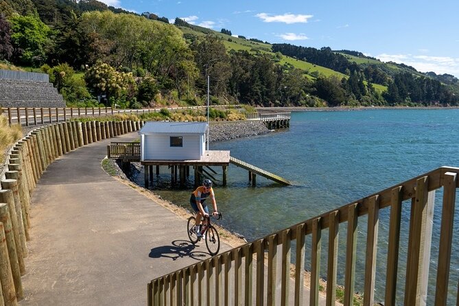 Electric Bike Rental - Why This Rental Works Well in Dunedin