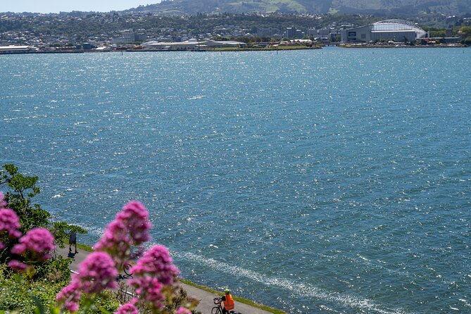 Electric Bike Rental - Following the Harbor Loop Toward Portobello