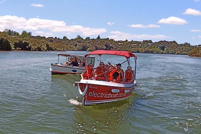 Electric Boats to explore Kerikeri river - Price, party size, and practical value