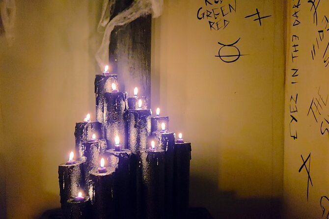 Escape Room Experience Taupo - The Cursed Cabin - Entering Elm Forest and the Cursed Cabin