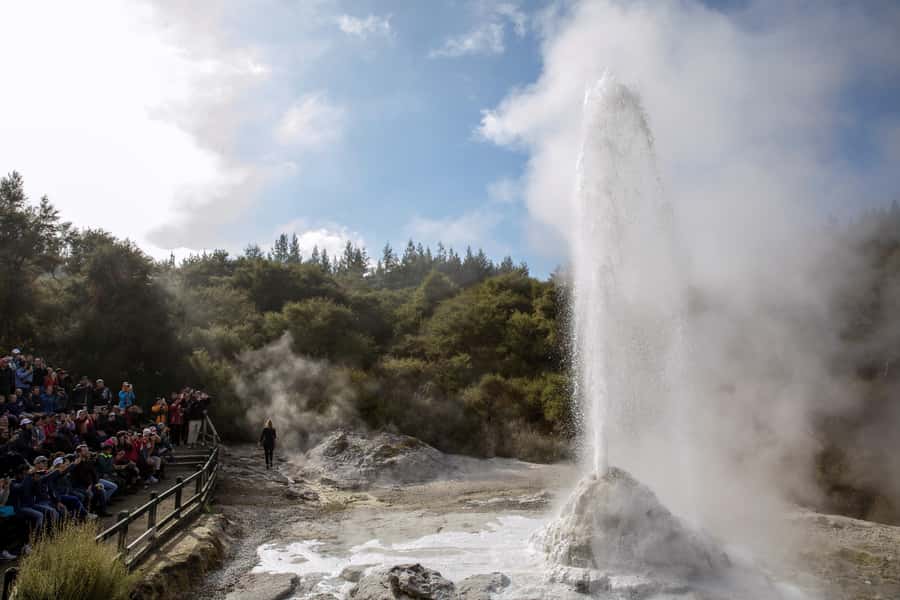 Ex Auckland: TRIPLE DEAL Wai-O-Tapu, Redwood & Blue Springs - Key points at a glance