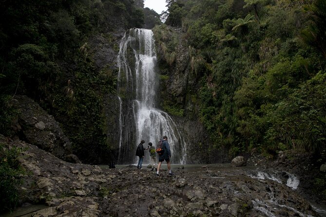 Explore BLACK SAND PIHA BEACH, and Water Falls in West Auckland - What the 90 minutes at Piha really offers