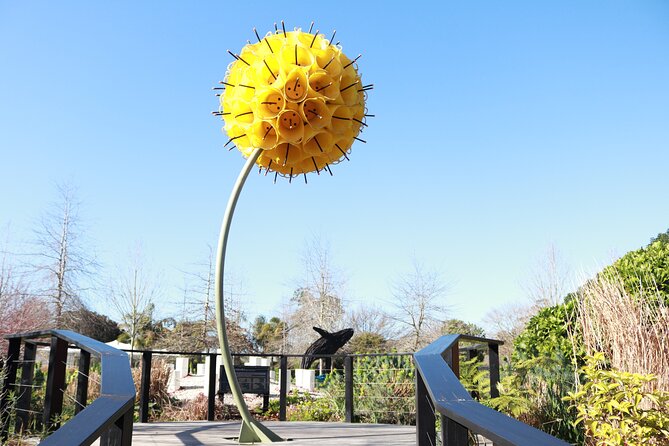 Explore gardens & galleries filled with incredible art, Matakana - What the $40 admission gives you