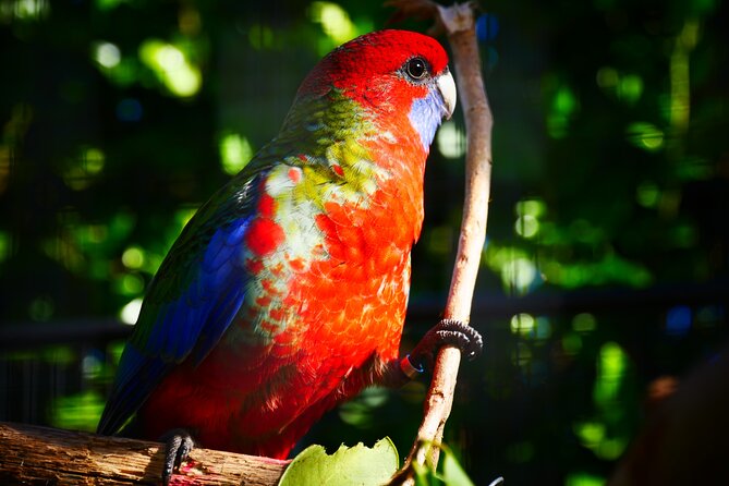 Explore gardens & galleries filled with incredible art, Matakana - Who will enjoy this experience most