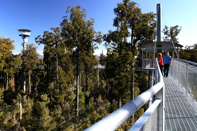 Explore Hokitika Gorge and Tree Top Walkway - Leaving Greymouth at 8:30 a.m.