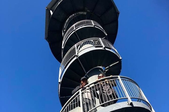 Explore Hokitika Gorge and Tree Top Walkway - How difficult is the day?