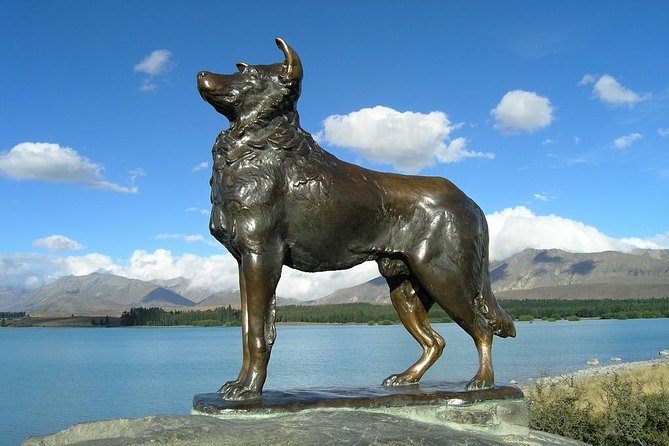 Explore Mount Cook from Christchurch - The return through Fairlie