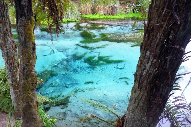 Explore The Lakes Tour - Why this tour gives you more than a quick lake drive